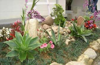 Ms Paisagismo e Jardinagem - Foto 1