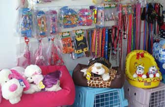 Cainã Pet Shop - Foto 1