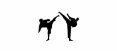 artes-marciais-indaiatuba-1494970119
