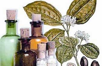 Farmácia Homeopática Energia Vital - Foto 1