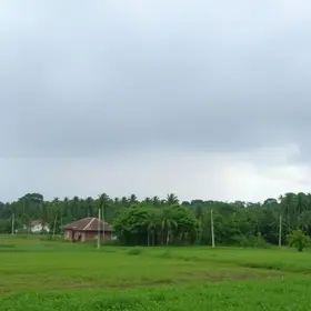 erros em processamento de dados