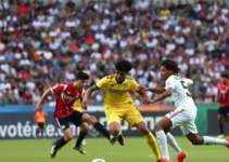 Primavera e Noroeste Paulistão