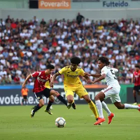 Primavera e Noroeste Paulistão