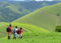 estágio em Indaiatuba