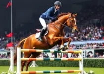 Internacional de hipismo