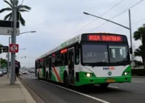 quatro novas linhas de ônibus