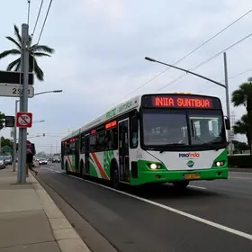 quatro novas linhas de ônibus
