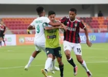 Paulista Sub-20 de Futsal