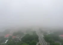 neblina densa