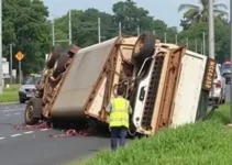 carreta carregada