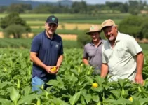 Desafio Nacional de Máxima Produtividade de Soja