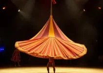 Le Cirque