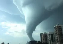 alerta de tornado em São Paulo
